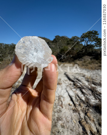 Hand Holding a Raw Quartz Crystal in Natural Setting Hand Holding a Raw Quartz Crystal in Natural Setting 116887030