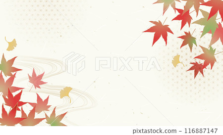Autumn Japanese style background/Autumn leaves and ginkgo Autumn Japanese style background/Autumn leaves and ginkgo 116887147