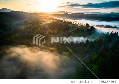 Aerial view of breathtaking sunrise over misty landscape with rolling hills and verdant fields. Soft light pierces through fog, casting long shadows and illuminating trees, creating magical scene. Aerial view of breathtaking sunrise over misty landscape with rolling hills and verdant fields. Soft light pierces through fog, casting long shadows and illuminating trees, creating magical scene. 116887161