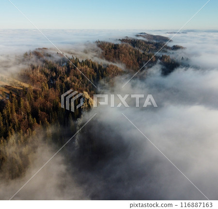 Mesmerizing aerial view of forested ridge shrouded in sea of clouds, with trees just peeking through mist. Landscape extends into distance, showcasing serene and ethereal beauty of nature. Mesmerizing aerial view of forested ridge shrouded in sea of clouds, with trees just peeking through mist. Landscape extends into distance, showcasing serene and ethereal beauty of nature. 116887163