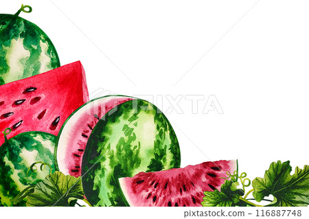 Watermelon. A frame with a picture of watermelons. Handmade watercolor illustration. For packaging and banners. For textiles and stickers, menus and posters, for flyers, postcards and labels. Watermelon. A frame with a picture of watermelons. Handmade watercolor illustration. For packaging and banners. For textiles and stickers, menus and posters, for flyers, postcards and labels. 116887748
