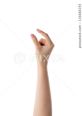 Young female hand to hold something isolated on white background 116888193