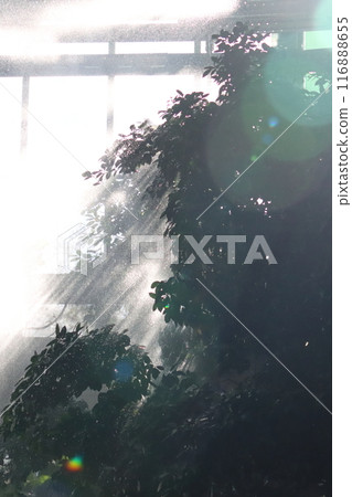 再現暴風雨的鳥亭 116888655