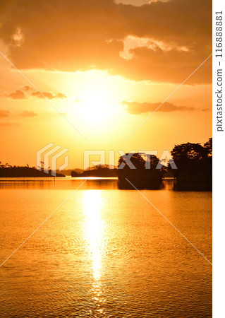 松島的黎明(宮城縣) 松島的黎明(宮城縣) 116888881