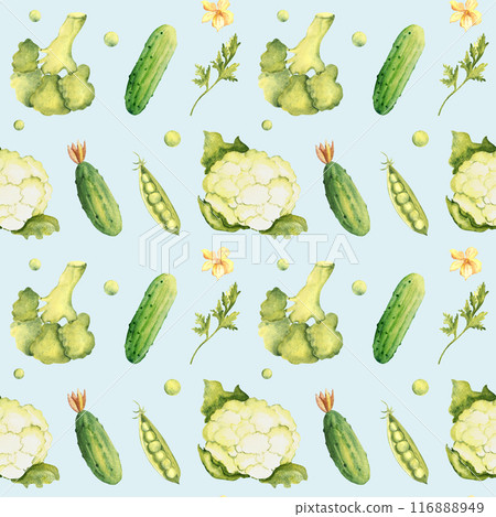 Green Vegetables Watercolor Seamless Pattern with Peas, Broccoli, Cauliflower and Cucumbers, Parsley plant on a blue background. Can be used for kitchen textile prints, product packaging design. Green Vegetables Watercolor Seamless Pattern with Peas, Broccoli, Cauliflower and Cucumbers, Parsley plant on a blue background. Can be used for kitchen textile prints, product packaging design. 116888949