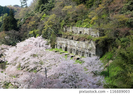 Sado Island Gold Mine Sado Gold Mine Crushing Site Important Cultural Property Industrial Heritage Sado Island Niigata Prefecture Sado Island Gold Mine Sado Gold Mine Crushing Site Important Cultural Property Industrial Heritage Sado Island Niigata Prefecture 116889003
