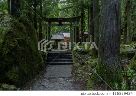 貝駒岳神社長滿青苔的鳥居 貝駒岳神社長滿青苔的鳥居 116889424