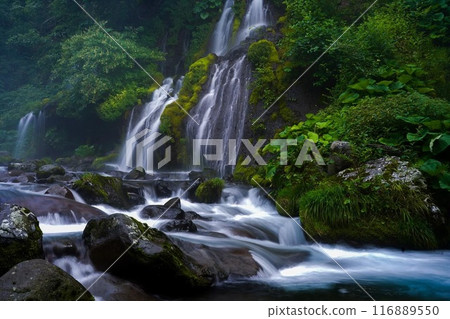 龍瀑布 龍瀑布 116889550