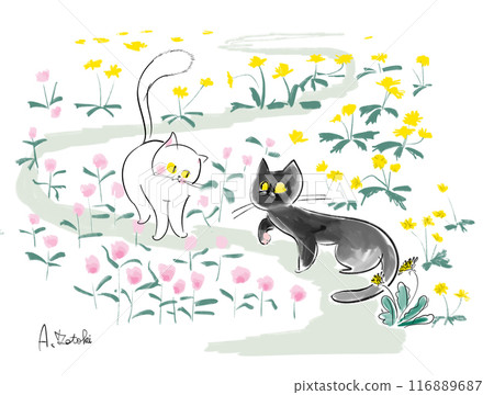 白貓與黑貓的插圖 116889687