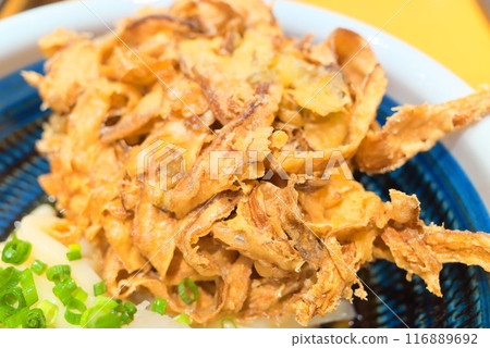 Bukkake udon and large kakiage tempura 116889692