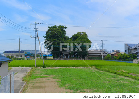 Around Inari Shrine, Matsudo City, Chiba Prefecture July 2024 116889904