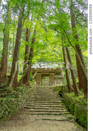 滋賀縣東近江市，穿著大草鞋的仁王門，從百濟寺正殿的新綠通往正殿 116890089