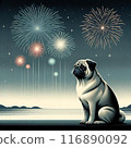 Dog and fireworks 116890092