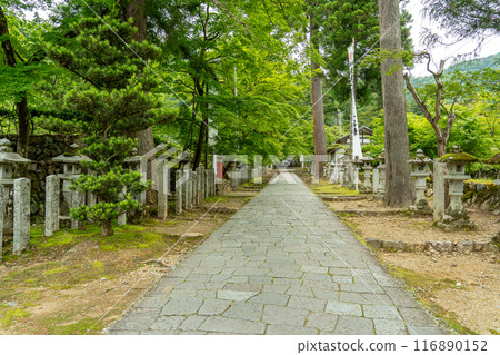 岐阜縣揖斐川町,谷組山華嚴寺的參道兩旁掛滿了燈籠,綠意盎然 岐阜縣揖斐川町,谷組山華嚴寺的參道兩旁掛滿了燈籠,綠意盎然 116890152