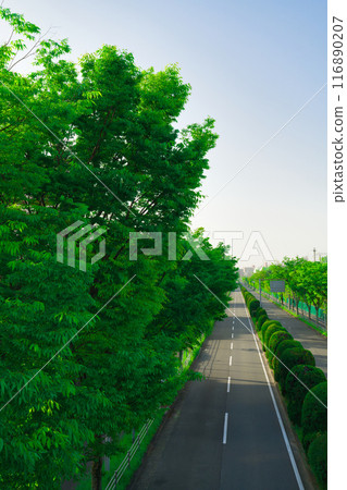 [Osaka Prefecture] April - Street view around Kita-Senri Station 116890207