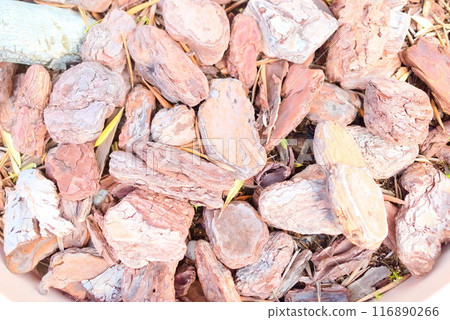 木片鋪在花盆裡 116890266