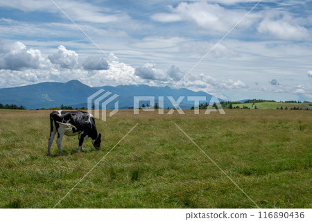 Mikahara Plateau Mikahara Plateau 116890436
