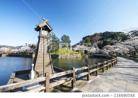 Spring scenery of Shikano Castle Ruins Park Spring scenery of Shikano Castle Ruins Park 116890588
