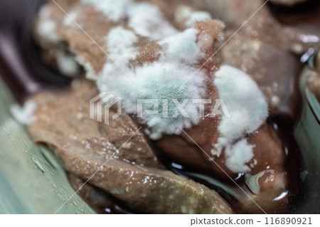 Close up of molds occur on raw pig liver. Moldy food has an undesirable taste and texture and may have green or white fuzzy spots.  116890921