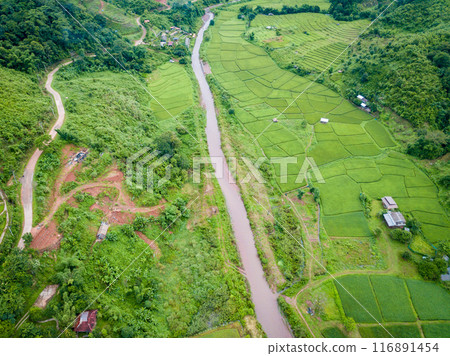 Beautiful aerial view of Wah river runs through rice paddy field in Sapan village of Nan province of Thailand in rainy season. 116891454
