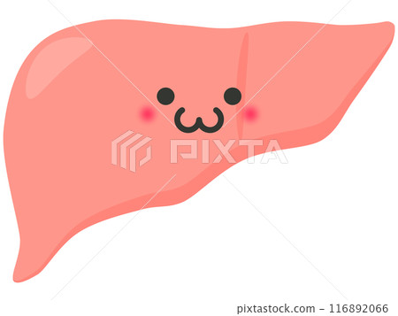 肝 116892066