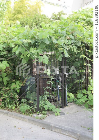 東京新宿一座被植物吞沒的公園設施 東京新宿一座被植物吞沒的公園設施 116892186