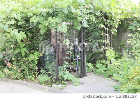 東京新宿一座被植物吞沒的公園設施 116892187
