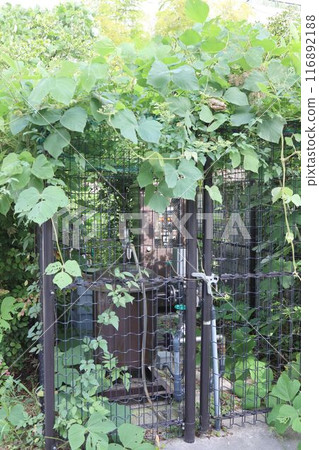 東京新宿一座被植物吞沒的公園設施 東京新宿一座被植物吞沒的公園設施 116892188