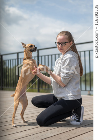 Young Caucasian woman walking with her Russian Toy Terrier dog. Vertical photo. Young Caucasian woman walking with her Russian Toy Terrier dog. Vertical photo. 116892338