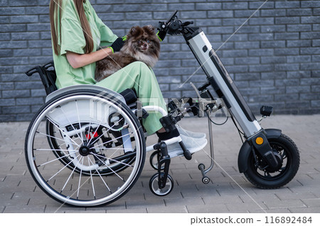 A woman in a wheelchair with a hand-control assist device carries a Spitz merle dog. Electric handbike.  116892484
