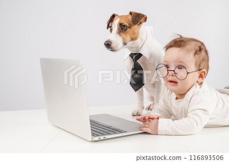 Cute baby boy and Jack Russell terrier dog working on a laptop. Cute baby boy and Jack Russell terrier dog working on a laptop. 116893506