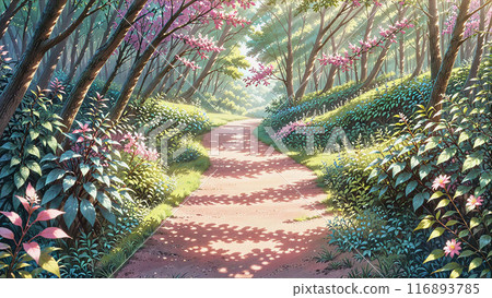 一條溫柔、靜謐、神秘的森林步道 一條溫柔、靜謐、神秘的森林步道 116893785