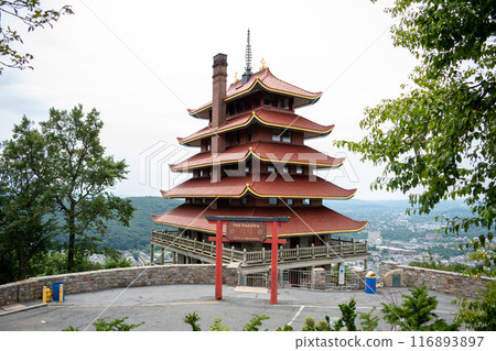 Overview of an Asian Pagoda looking over a forest and city. 116893897