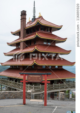 Overview of an Asian Pagoda looking over a forest and city. 116893920
