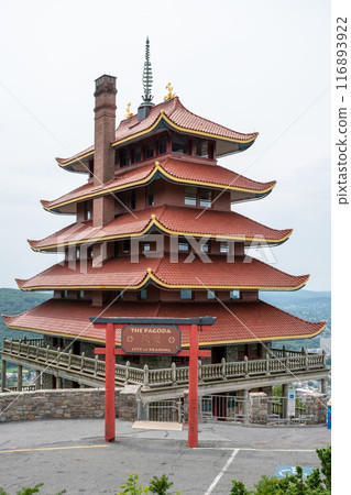 Overview of an Asian Pagoda looking over a forest and city. 116893922