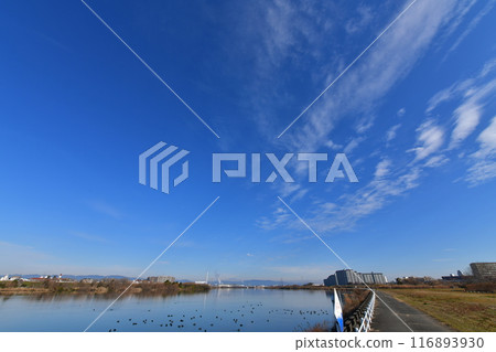 Sky  116893930