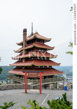 Overview of an Asian Pagoda looking over a forest and city. 116893937