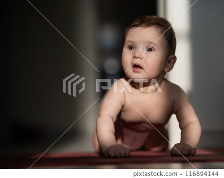 Cute little boy standing on all fours on the floor. Cute little boy standing on all fours on the floor. 116894144