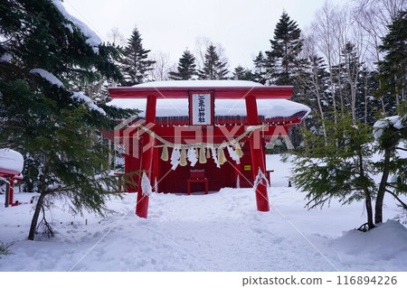 Torii gate of Futarasan Shrine in Nikko Shirane in winter 116894226