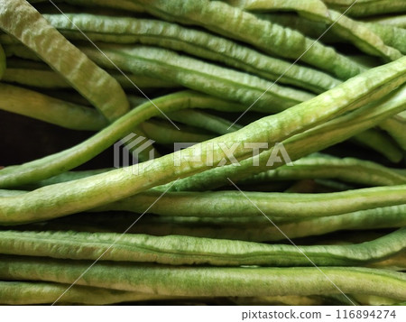 Long beans sell at morning wet market. fresh long beans are ready to cook Long beans sell at morning wet market. fresh long beans are ready to cook 116894274