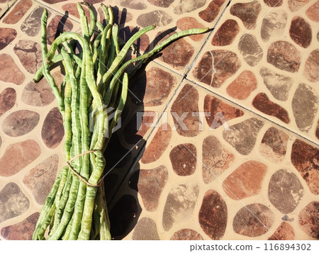 Long beans sell at morning wet market. fresh long beans are ready to cook 116894302
