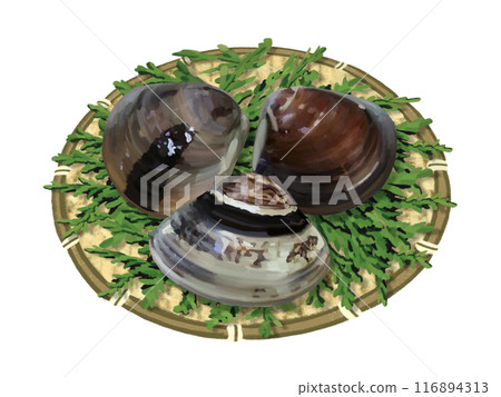 蛤蜊(有漏杓和柏葉) 蛤蜊(有漏杓和柏葉) 116894313