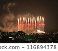 夏季煙火2024葛飾柴又煙火大會 116894378