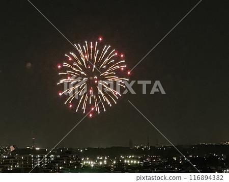 夏季煙火2024葛飾柴又煙火大會 夏季煙火2024葛飾柴又煙火大會 116894382