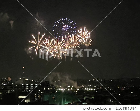 夏季煙火2024葛飾柴又煙火大會 116894384