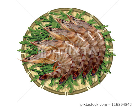 Tiger prawns (with colander and cedar leaves) Tiger prawns (with colander and cedar leaves) 116894843