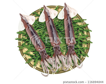 日本魷魚（附漏杓和柏葉） 116894844