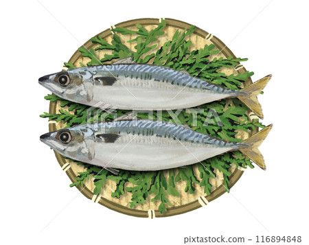 2條鯖魚(附漏杓和柏葉) 2條鯖魚(附漏杓和柏葉) 116894848