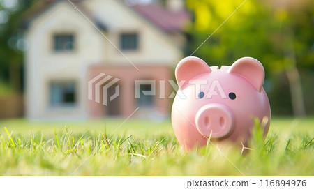 Pig money box and house Pig money box and house 116894976