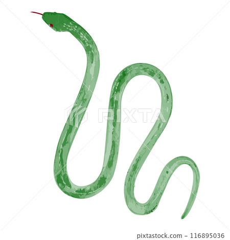 手繪簡單的青蛇插畫 116895036